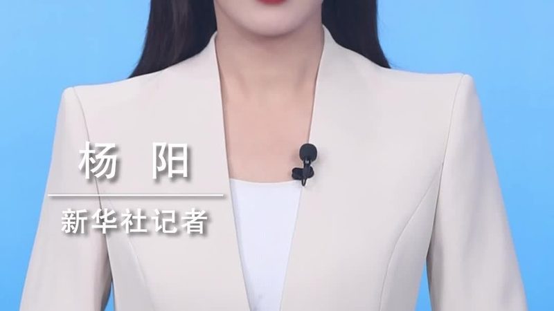 机器学习平台应用标准规范：构建高效AI解决方案的关键